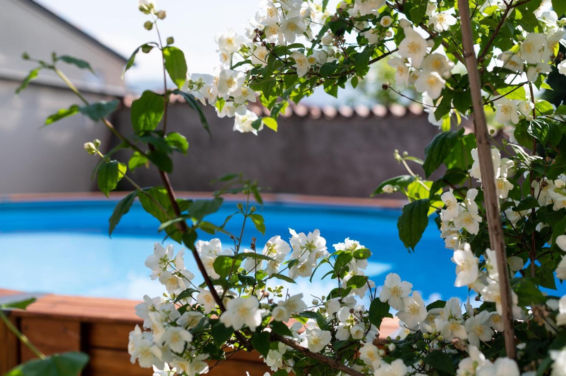 Agriturismo El Crear San Pietro in Cariano Eksteriør billede