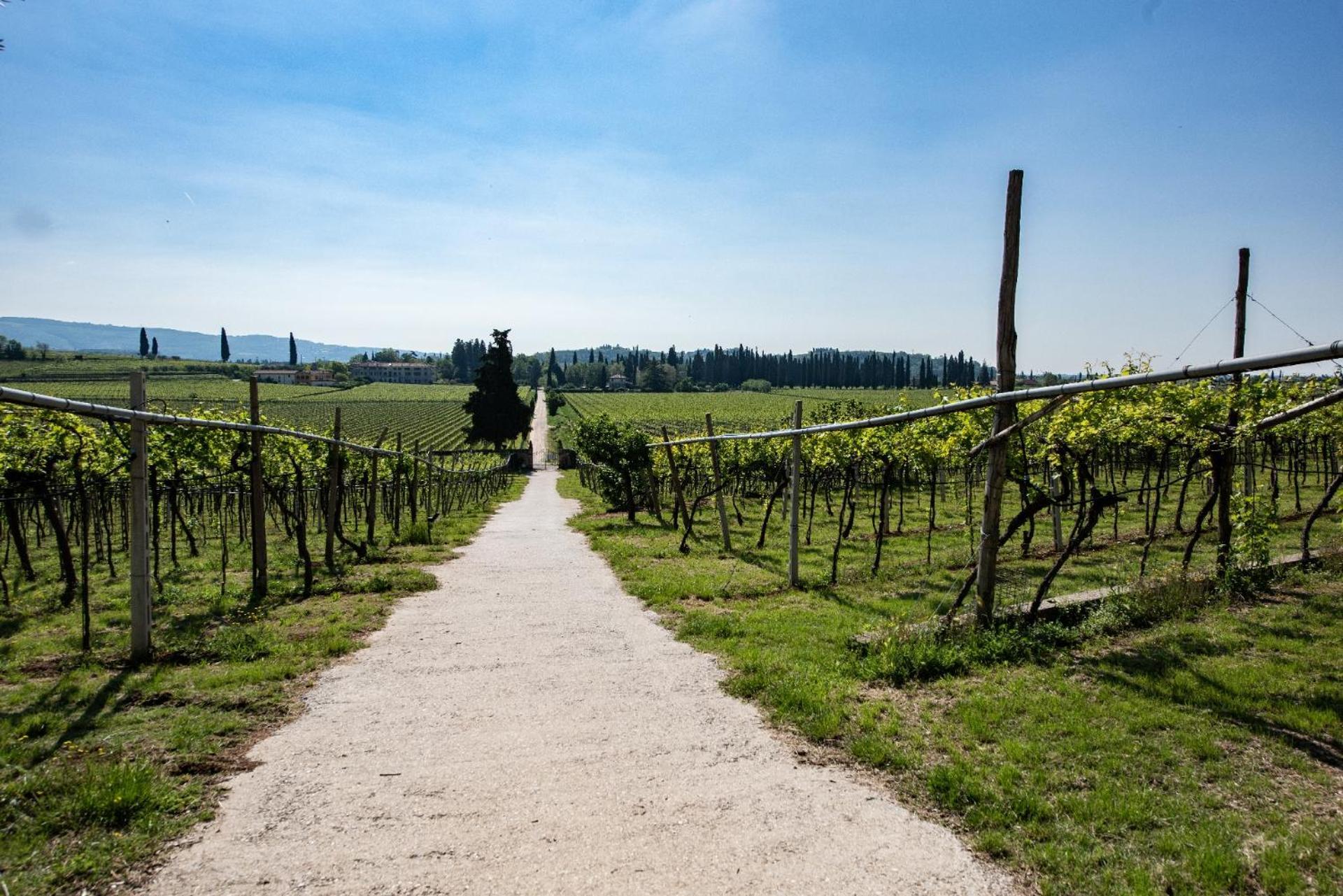 Agriturismo El Crear San Pietro in Cariano Eksteriør billede