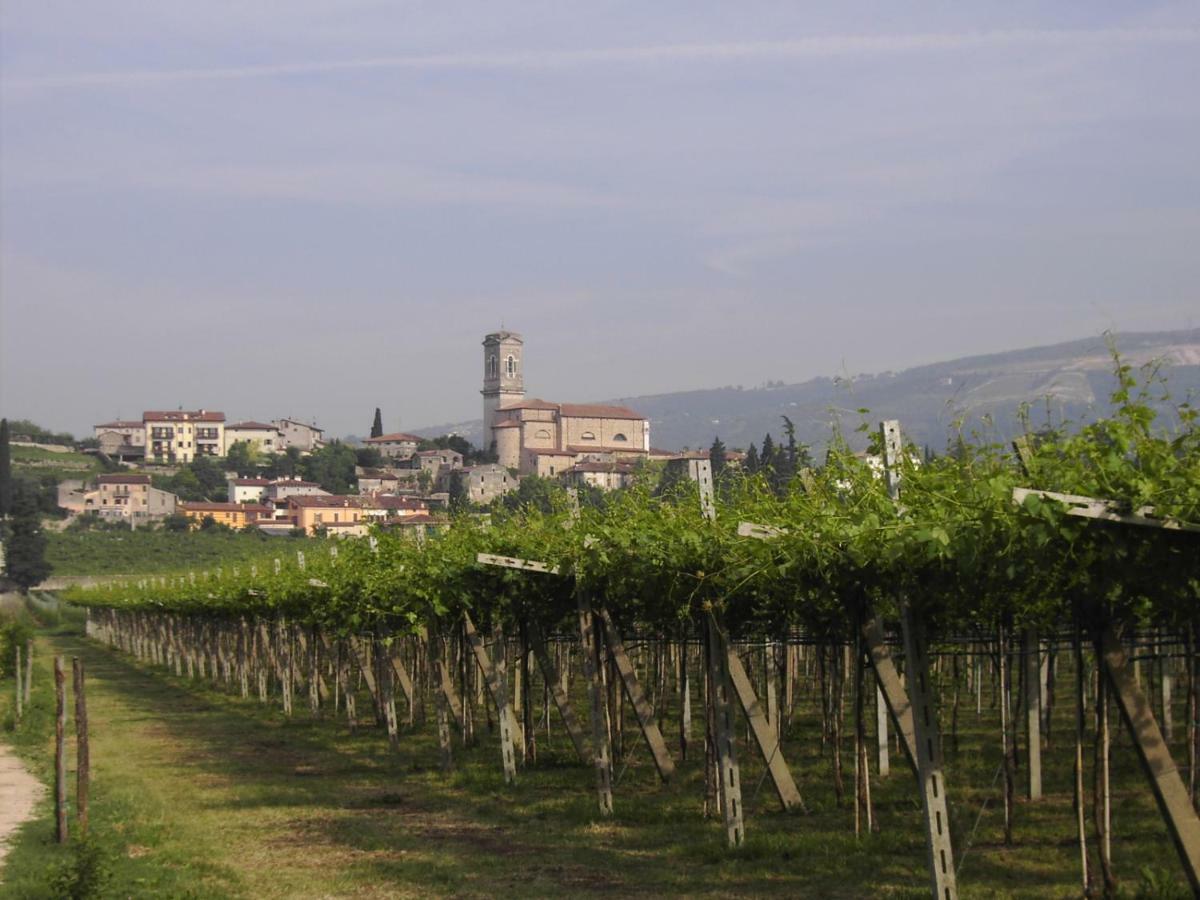 Agriturismo El Crear San Pietro in Cariano Eksteriør billede