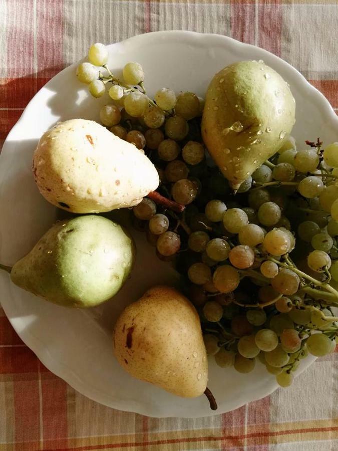 Agriturismo El Crear San Pietro in Cariano Eksteriør billede